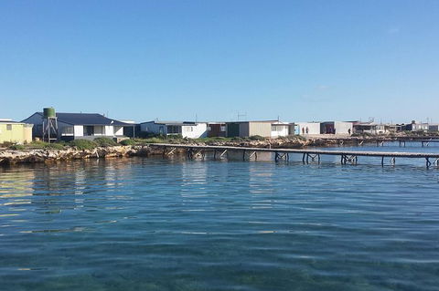Abrolhos Islands 4 Day Fishing Charter - Redcliffe Tourism 9