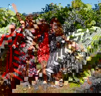 Highlights of Margaret River Boutique Wineries  Unique Experiences - Redcliffe Tourism