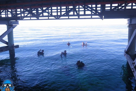 PADI Open Water Course - Redcliffe Tourism 3