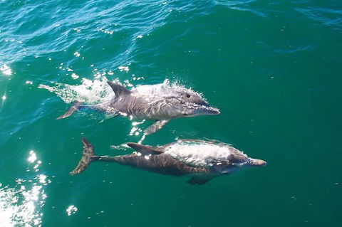 Sailing Kayak Adventure Through The Peel Harvey Estuary - Redcliffe Tourism 1