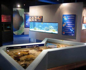 Marine And Freshwater Discovery Centre - Redcliffe Tourism 0
