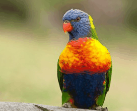 Booderee National Park - Redcliffe Tourism 1