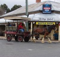 Bathurst Farm Experience - Redcliffe Tourism