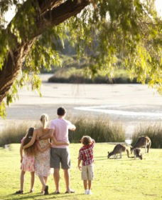 Yanchep National Park - Bushwalking Trails - Redcliffe Tourism 0