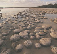 Lake Clifton Thrombolites - Redcliffe Tourism