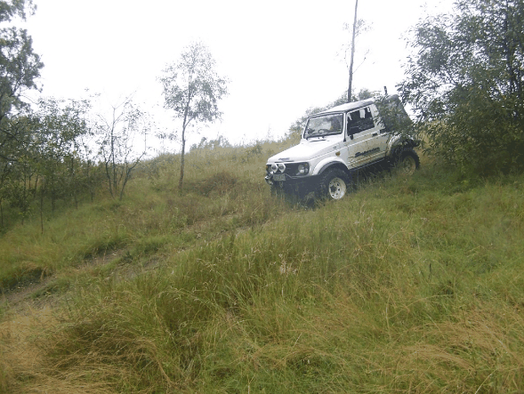 Scenic Rim Adventure Park - Redcliffe Tourism 1