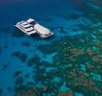 Great Adventures Reef and Green Island Cruises - Redcliffe Tourism