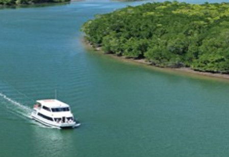 Cairns Harbour Cruises - Redcliffe Tourism 3