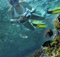 Calypso Reef Charters - Redcliffe Tourism