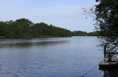 Daintree River Cruise Centre - Redcliffe Tourism 2