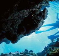 Deep Sea Divers Den - Redcliffe Tourism