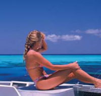 Mike Ball Dive Expeditions - Redcliffe Tourism