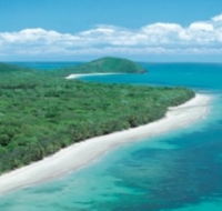 Reef and Rainforest Connections - Redcliffe Tourism