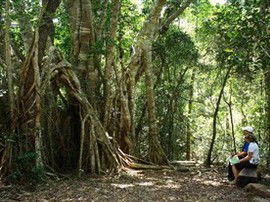 The Airlie Creek Track - Redcliffe Tourism 0