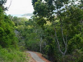 The Airlie Creek Track - Redcliffe Tourism 1