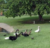 Anzac Park and Ululah Lagoon - Redcliffe Tourism