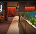 AB Hotel - Redcliffe Tourism