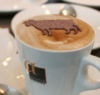 Brown Cow - Redcliffe Tourism