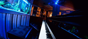 Saks Restaurant & Bar - Redcliffe Tourism 2