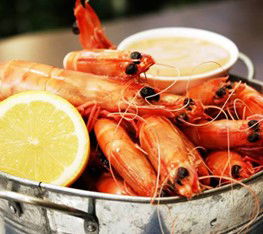 Full Moon Hotel - Moonlight Dining - Redcliffe Tourism 0
