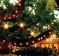 The Oaks - Redcliffe Tourism