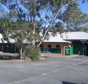 Cedars Tavern - Redcliffe Tourism