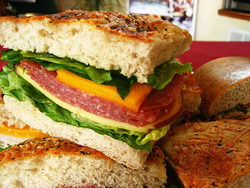 Jabiru Bar - Redcliffe Tourism 3