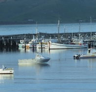 The Apollo Bay Hotel - Redcliffe Tourism