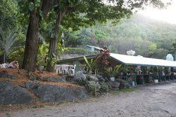 Ellis Beach Bar & Grill - Redcliffe Tourism 0