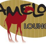 Camelot Lounge - Redcliffe Tourism