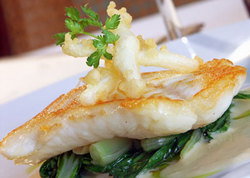 The Tower Hotel - Redcliffe Tourism 1