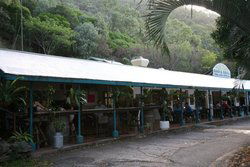 Ellis Beach Bar & Grill - Redcliffe Tourism 1