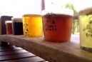 Moody Cow Brewery - Redcliffe Tourism 1