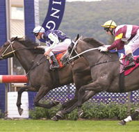 Gosford Race Club - Redcliffe Tourism