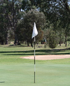 Inverell Golf Club - Redcliffe Tourism 1