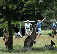 Glen Innes Golf Club - Redcliffe Tourism