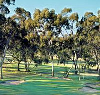 Tanunda Pines Golf Club - Redcliffe Tourism