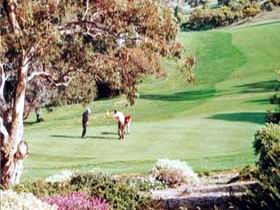 Victor Harbor Golf Club - Redcliffe Tourism 1