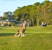 Sanctuary Cove Golf and Country Club - Redcliffe Tourism