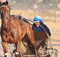 Ballarat  District Trotting Club - Redcliffe Tourism