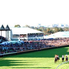 Morphettville SA Redcliffe Tourism