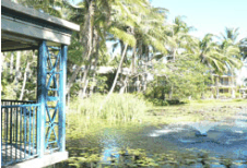 Bushland Tavern - Redcliffe Tourism 2