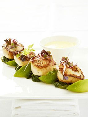 Medusa Greek Taverna - Redcliffe Tourism 3