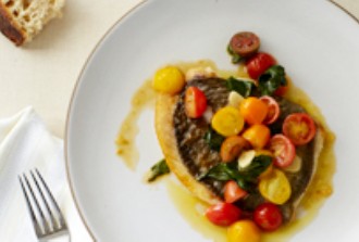 Uccello - Redcliffe Tourism 1