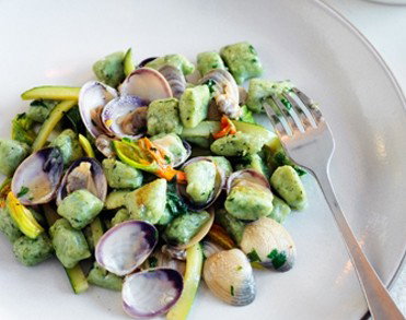 Uccello - Redcliffe Tourism 4