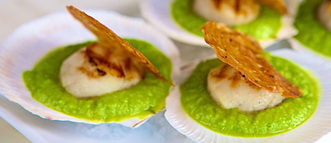 Garden Brasserie - Redcliffe Tourism 2