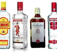 Mount Surprise Hotel - Redcliffe Tourism