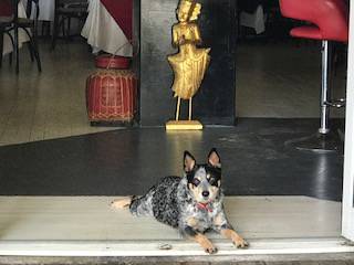 Gatakers Landing Restaurant - Redcliffe Tourism 4