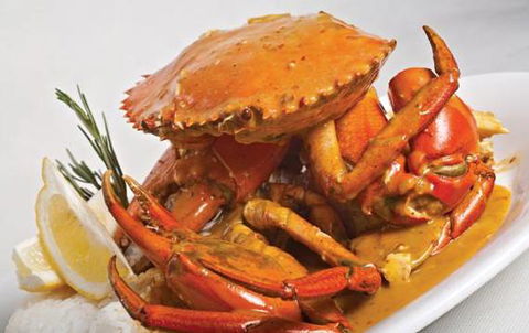 Fish D’Vine & The Rum Bar - Redcliffe Tourism 0