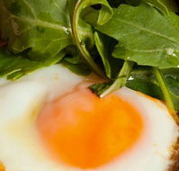 Rosebud Restaurant  Bar - Redcliffe Tourism